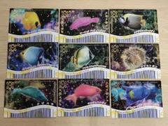 2026年最新】マリンマリン 魚カードの人気アイテム - メルカリ