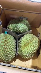 タイ産 ドリアン TAISHENDURIAN 1箱 4個入り - メルカリ