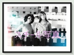 pt『四月物語』映画B2判オリジナルポスター pt05017 岩井俊二 行定勲