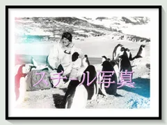 t『南極物語』1983年映画劇場宣伝用正規オリジナルスチール写真　pt004615　蔵原惟繕 日枝久 高倉健 渡瀬恒彦 岡田英次 夏目雅子 荻野目慶子 佐藤浩市 岸田森のサムネイル