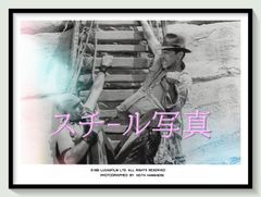 美品 David Hamilton：Jardin Secret 1981年初版 - メルカリ