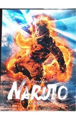 DVD/[삼방 등 케이스·소책자 첨부] 라이브·스펙터클 NARUTO-나루토- 2016 애니메이트 한정판