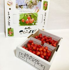さくらんぼ☆佐藤錦☆贈答品に！サイズL·2L混合1kg（送料込み)写真現物 
