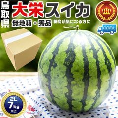 この時期最高に美味い！熊本産【肥後漫遊】秀品4L（2玉18kg以上）かめ