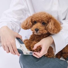 페티오(Petio) 개용 손톱깎이 FIXCARE 손톱이 흩어지지 않는 커버 첨부 네일 슬라이드 커터