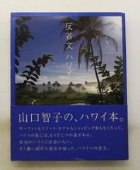 반성문 - Hawaii 야마구치 토모코 록킹 온