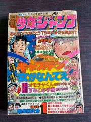 図解 皇乃子 真圧心療道 家庭でできる症状別治療法 (1988年) 中川信義