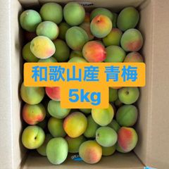 露茜　つゆあかね　５kg　梅酒　シロップ　栽培期間中農薬不使用 梅 露茜 つゆあかね 5kg 梅酒 シロップ 栽培期間中農薬不使用 - メルカリ