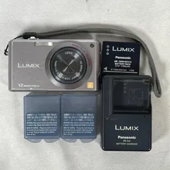 2026年最新】LUMIX DMC-FX100の人気アイテム - メルカリ