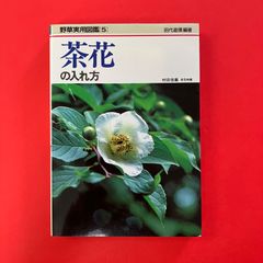 노쿠사 실용 도감 차 꽃을 넣는 방법 타시로 도료 ym_a0_7655
