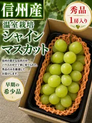 2026年最新】果物 シャインマスカットの人気アイテム - メルカリ