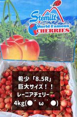 希少8.5R レーニアチェリー4kg ワシントン産 さくらんぼ - メルカリ