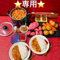 410カレーライスセット⭐️ミニチュアフード ドールハウスおもちゃ