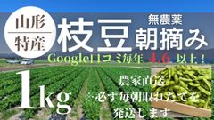 山形総本家 産直フルーツと天然山菜の直販 - メルカリShops