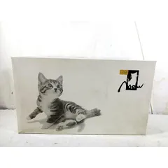 新品　タカラ Mew　ミュウ ネコ型　ペットロボット ネコのサムネイル