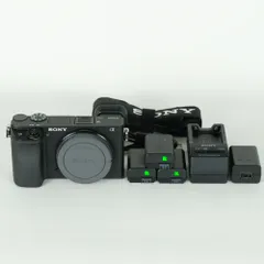 2026年最新】α6400 バッテリー 純正の人気アイテム - メルカリ