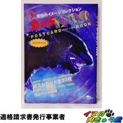 ガメラ 1999 ポストカードブック 全33枚 劇場限定版 - メルカリ