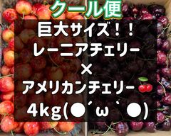 超希少8.5Rレーニアチェリー 高級チェリー食べ比べセット 4kg - メルカリ