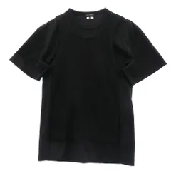 COMME des GARCONS HOMME PLUS コムデギャルソンオムプリュス 24AW PN-T009 Mesh T-shirt メッシュ ベスト レイヤード ドッキング 半袖 Tシャツ ブラック系 M【中古】のサムネイル