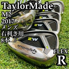 激レア】ロッディオ ロッディオフォージド メンズアイアンセット 5本 R
