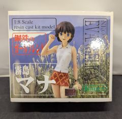 美品】新世紀エヴァンゲリオン 鋼鉄のガールフレンド 霧島マナ