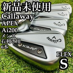 シニアゴルフ研究所 イージーパワー ユーティリティアイアン6本 メンズ