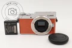 2026年最新】panasonic LUMIX dc-gf9の人気アイテム - メルカリ