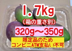 グリーン摘果マンゴー約7キロ 摘果マンゴー約1.7kg！加工用・青マンゴー- メルカリ