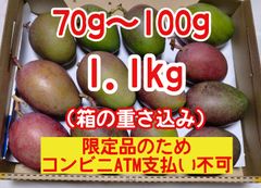 摘果マンゴー約1.7kg！加工用・青マンゴー- メルカリ