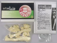 83℃ 八海 宇宙のステルヴィア 藤沢やよい 本科生 ガレージキット