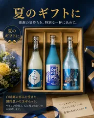 ★夏の限定ギフト★無料包装/熨斗承ります（送料込）のサムネイル