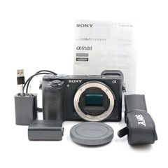 α6500 シャッター:16,058回 バッテリー5個・純正ケース付き - メルカリ