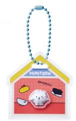 seventeen miniteen ウジ ピョプリ - メルカリ