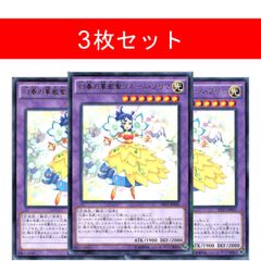 素早いビッグハムスター【3枚セット】 - メルカリ