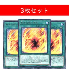シャドール・ヘッジホッグ【3枚セット】 - メルカリ