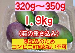 摘果マンゴー　青マンゴー　加工用 摘果マンゴー約1.7kg！加工用・青マンゴー- メルカリ