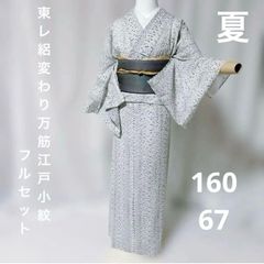東レ 変わり絽 紗 小紋 フルセット 夏名古屋帯 夏小物 更紗紋様 - メルカリ