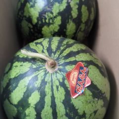 尾花沢西瓜 4Lサイズ JA全農山形 特産東部 - メルカリ