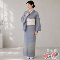 美品 正絹単衣 縄手絣 横段暈し紬 証紙有 名古屋帯サービス 裄68