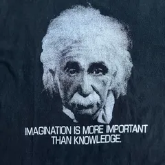 80s 90s アインシュタイン　Einstein　Tシャツ　USA製　ブラック　黒　XLサイズ　ALORE　シングルステッチ　vintage t shirtのサムネイル