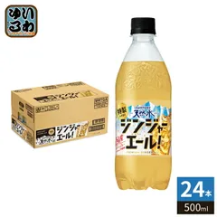 サントリー 天然水 特製ジンジャーエール 500ml ペットボトル 24本入 炭酸飲料 炭酸水 ジンジャーのサムネイル