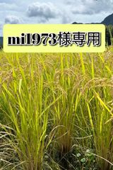 R7年 自然栽培米 朝日米10kg玄米 - メルカリ