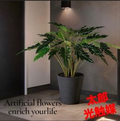 光触媒 人工観葉植物 ウォールグリーン フェイクグリーン エレガンス