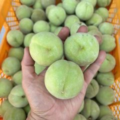 21 露茜 3Lサイズ 4kg - メルカリ