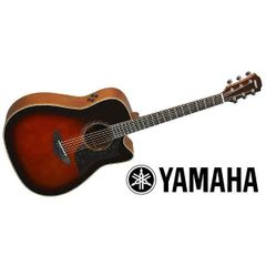 ほぼ新品Takamine PTU100カスタムオーダー VTS 超希少 ほぼ新品Takamine PTU100カスタムオーダー VTS 超希少 - メルカリ