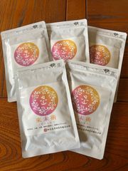 星野製茶園 八女の華20g×6 Japan Green 八女茶 6袋セット - メルカリ