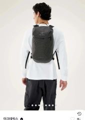 新品正規品] アークテリクス コンシール 15 バックパック シンチャ