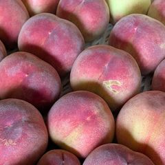 訳ありB級品】山梨県産 桃 ちよひめ 2kg - メルカリ