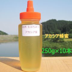 食品 ☀️アカシア蜜10本 生はちみつ 自家製蜂蜜