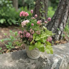 寄せ植え チューリップゼラニウム ブリキ鉢 ピンク 季節の花 おまかせのサムネイル